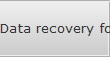 Data recovery for St Marys City data